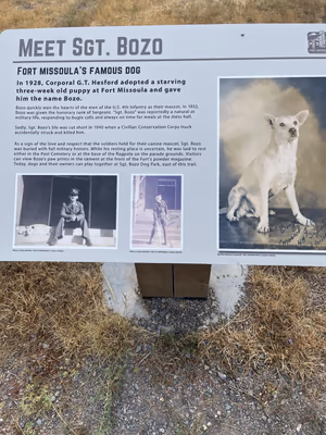 Sgt. Bozo Dog Park photo 2